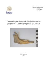 Ett osteologiskt återbesök till djurbenen från grophusen i Löddeköpinge 90:1 (SU1990)
