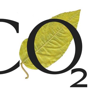 ETN:CO2