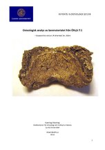 Osteologisk analys av benmaterialet från Öllsjö 7:1