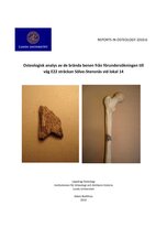 Osteologisk analys av de brända benen från förundersökningen till väg E22 sträckan Sölve-Stensnäs vid lokal 14