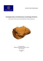 Osteologisk analys av de brända benen i stensättningen från Älvros
