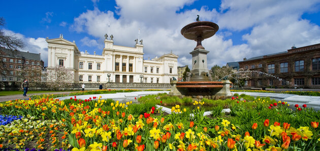 University main building with yellow flowers