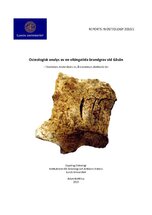 Osteologisk analys av en vikingatida brandgrav vid Gåsån