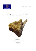 Osteologisk analys av de brända benen från Bodsjöbyn