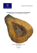 Osteologisk analys av ett hornfragment från Bruksvallarna