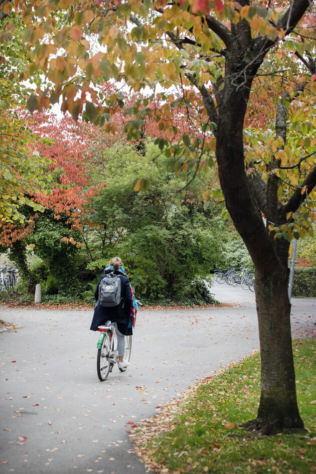 Student biking.