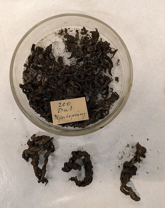 Bild på bruna repfragment