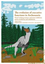 The evolution of executive functions in Archosauria